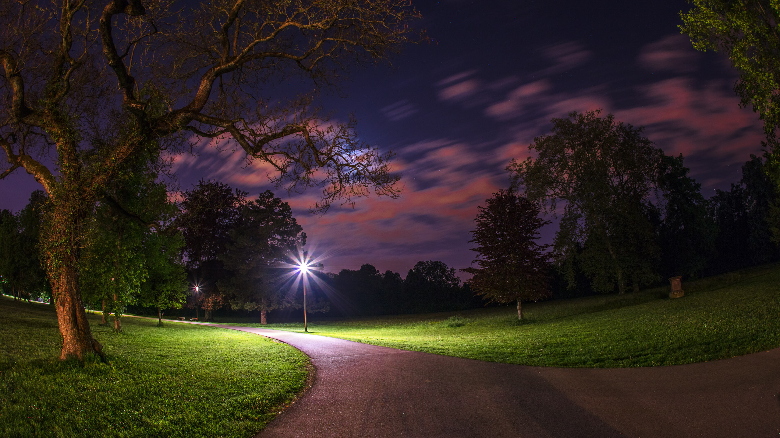 20220507235829 DP017489